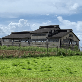 Galpão industrial da Companhia Ford em Fordlândia, com telhado em duas águas e cerca ao redor