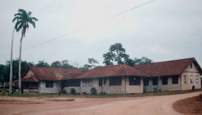 Fachada do antigo Hospital Henry Ford em Belterra: prédio baixo de telhado de telhas e palmeiras ao lado