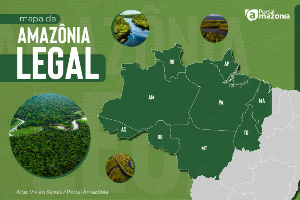 Os estados que compõem a Amazônia Legal são:
Acre, Amapá, Amazonas, Mato Grosso, Pará, Rondônia, Roraima, Tocantins, Parte do Maranhão.
A Amazônia Legal é uma região criada pelo governo brasileiro para promover o desenvolvimento socioeconômico da região. A região abrange 60% do território nacional e abriga 27,8 milhões de habitantes.