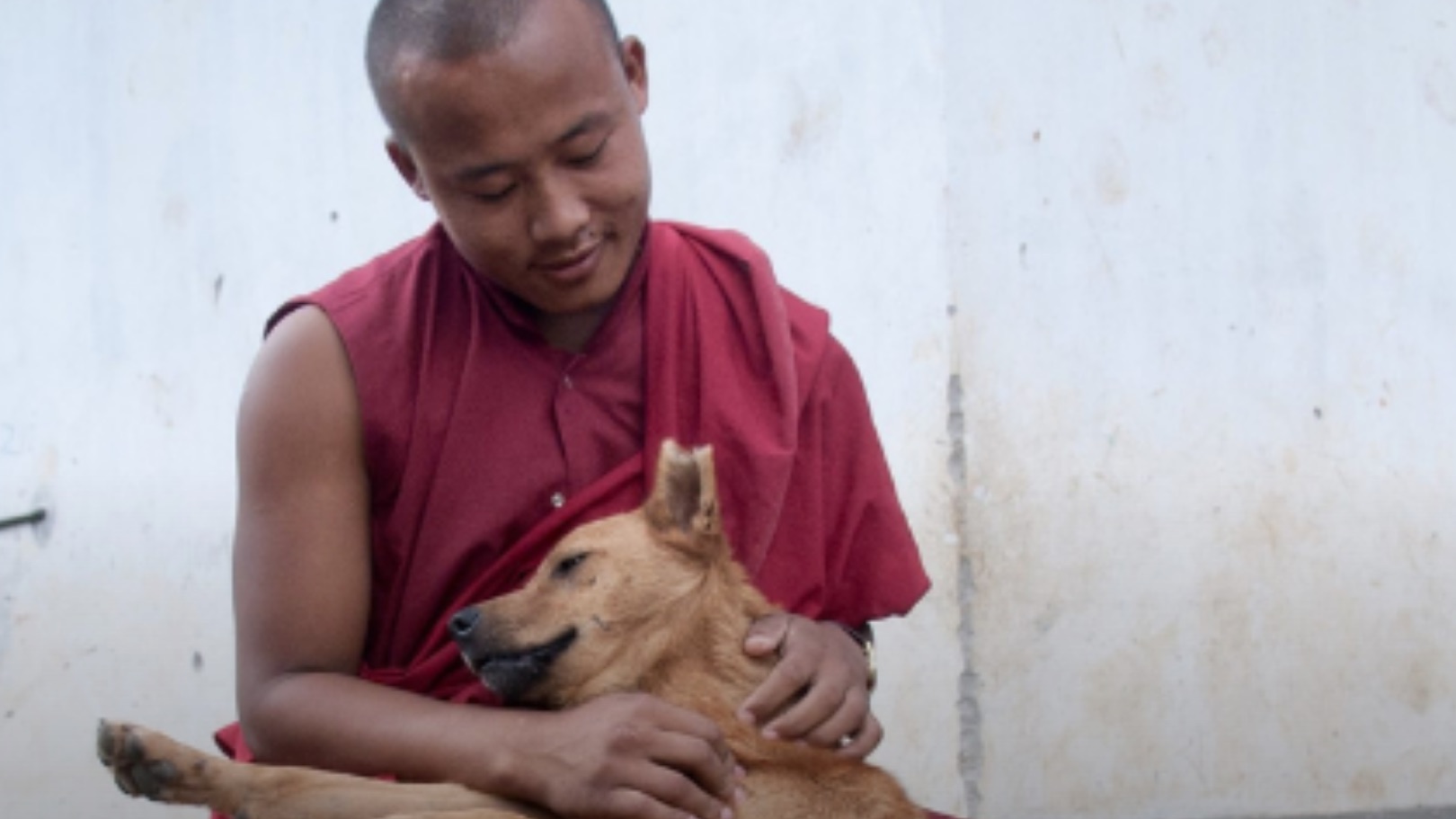 Monge budista com um cachorro no Butão